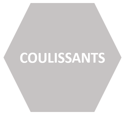 Coulissants & Baies vitrée HEXAGONAL